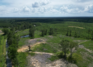 Land for Sale in Amite County, MS