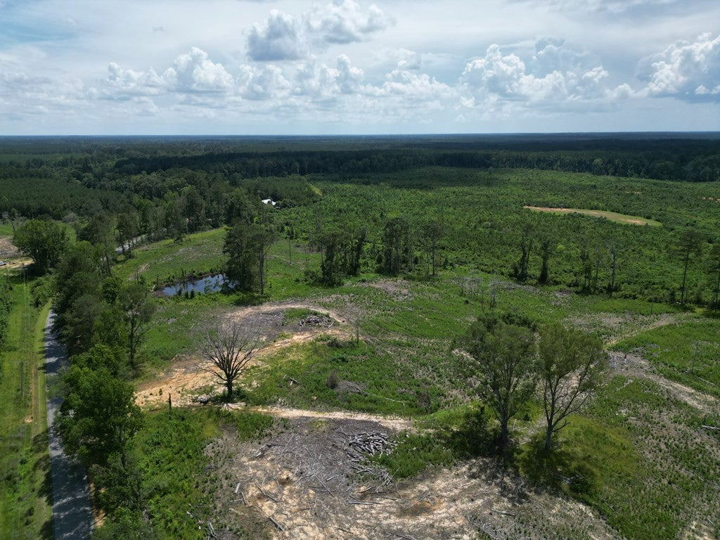 Land for Sale in Amite County, MS