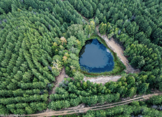 302 Acres in Hermanville, Claiborne County, MS Land
