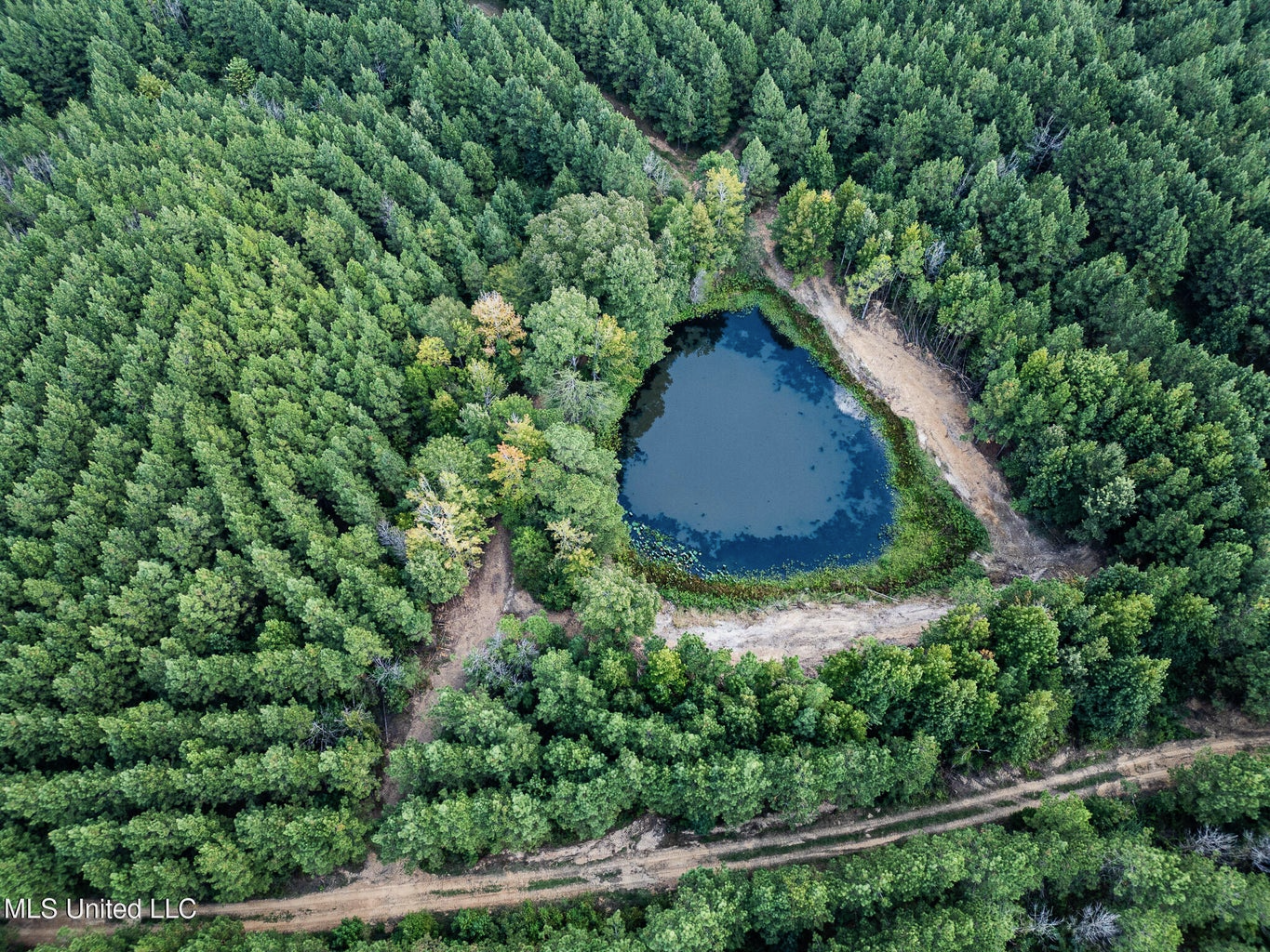 302 Acres in Hermanville, Claiborne County, MS Land