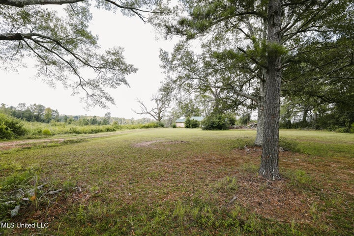 Land for Sale in Lincoln County, MS