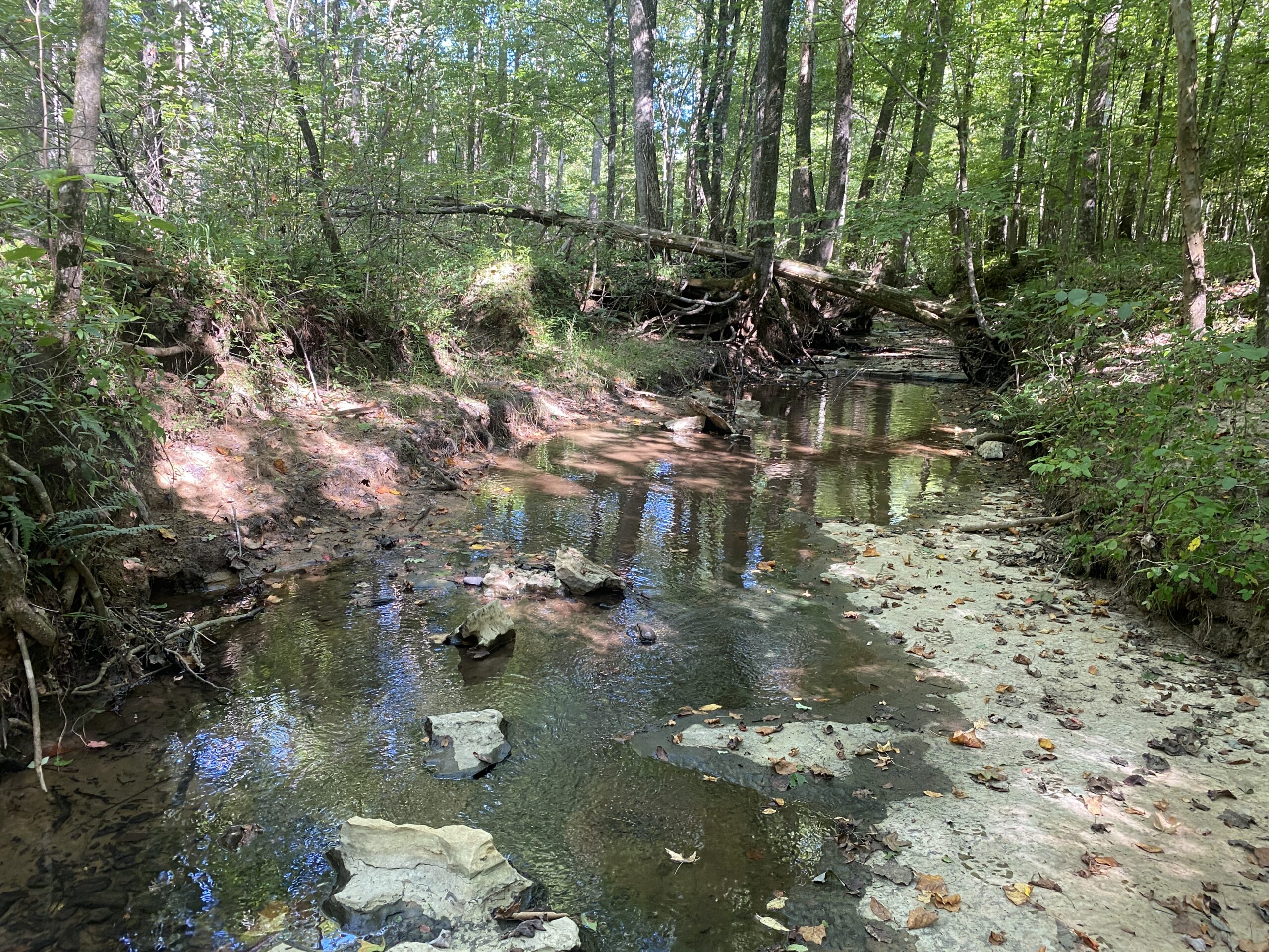 LAND FOR SALE IN TN ON PONY CREEK WITH MATURE HARDWOODS
