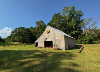Northeast Lincoln Parish Land for Sale