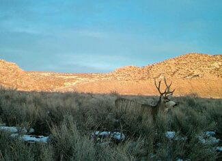 Northwestern CO Acreage Hunting Basecamp