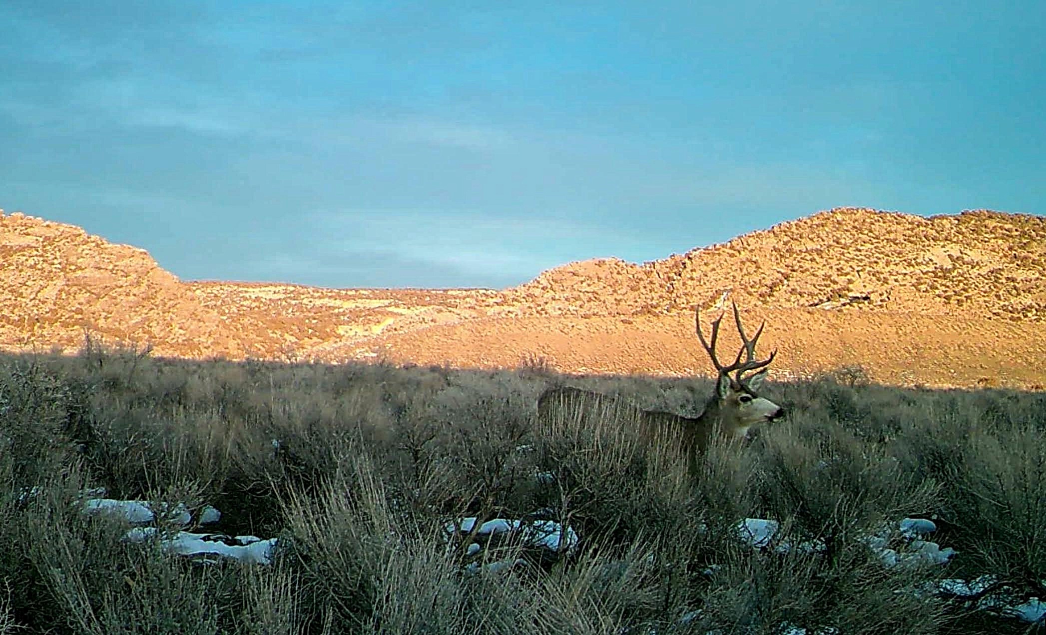 Northwestern CO Acreage Hunting Basecamp