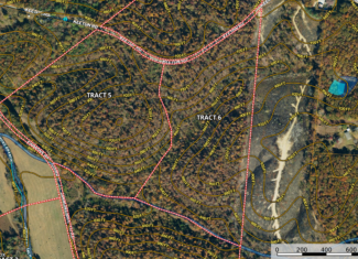 LAND FOR SALE IN TN, 25 AC+/-, HUNTING, WOODED LAND, CREEK