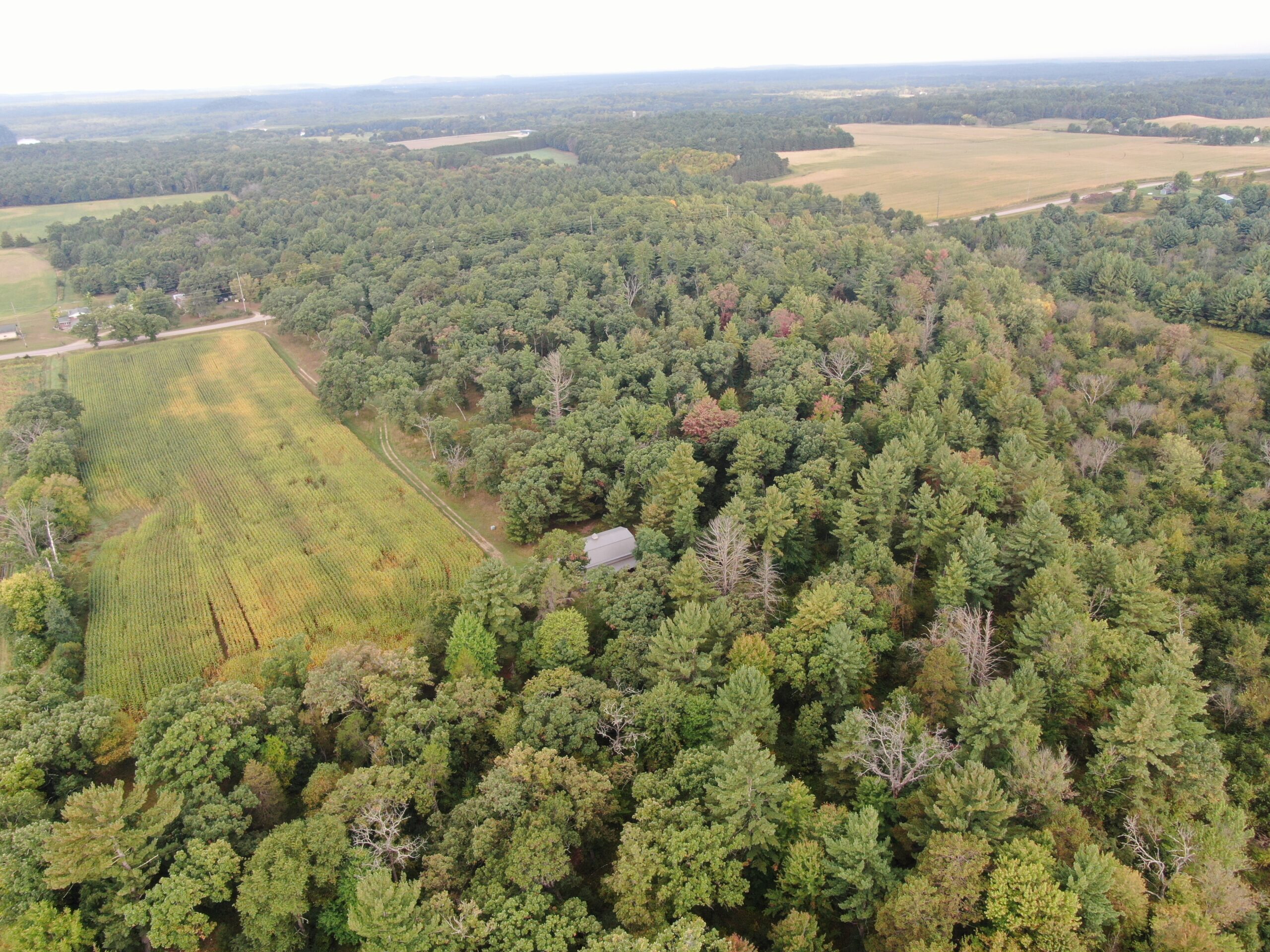 40 acres just north of Wisconsin Dells with abundant deer & turkey habitat