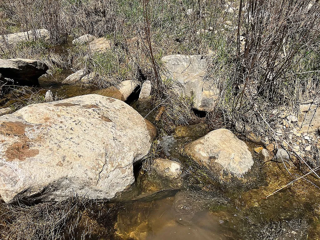 ATTENTION COLORADO AND UTAH HUNTERS!!!