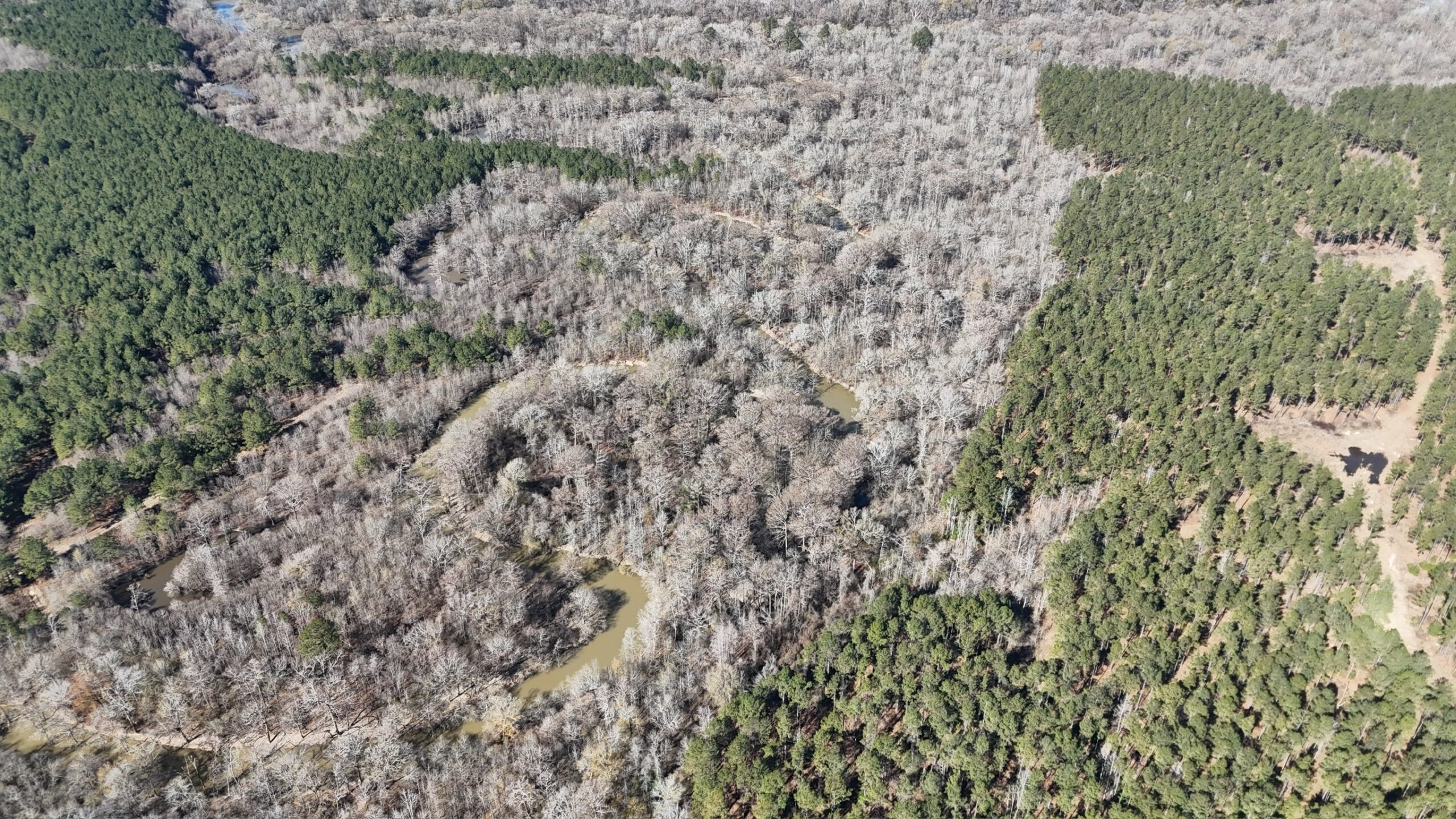 Duck, Deer, and Fishing Land for Sale on Little River