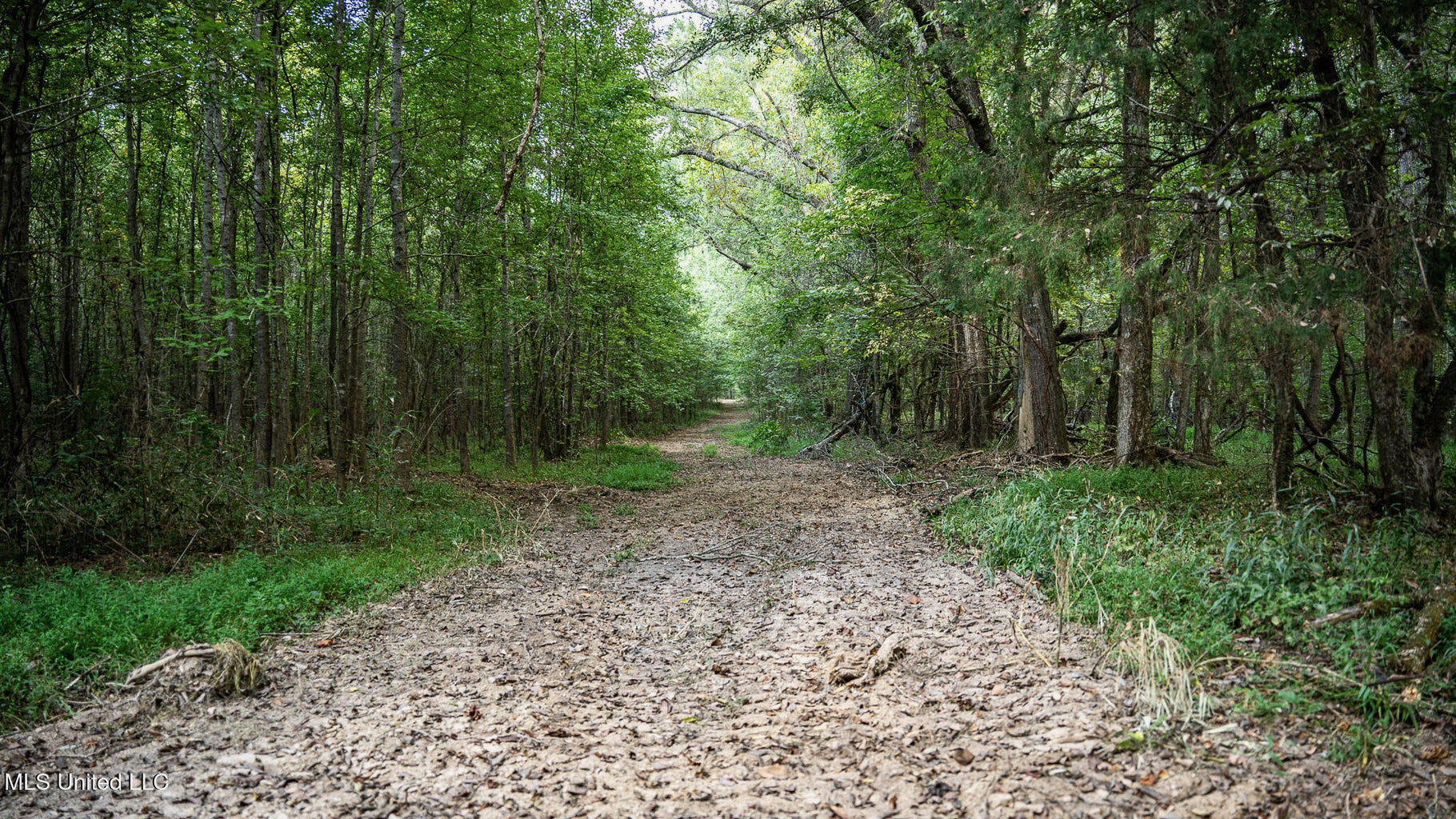302 Acres in Hermanville, Claiborne County, MS Land