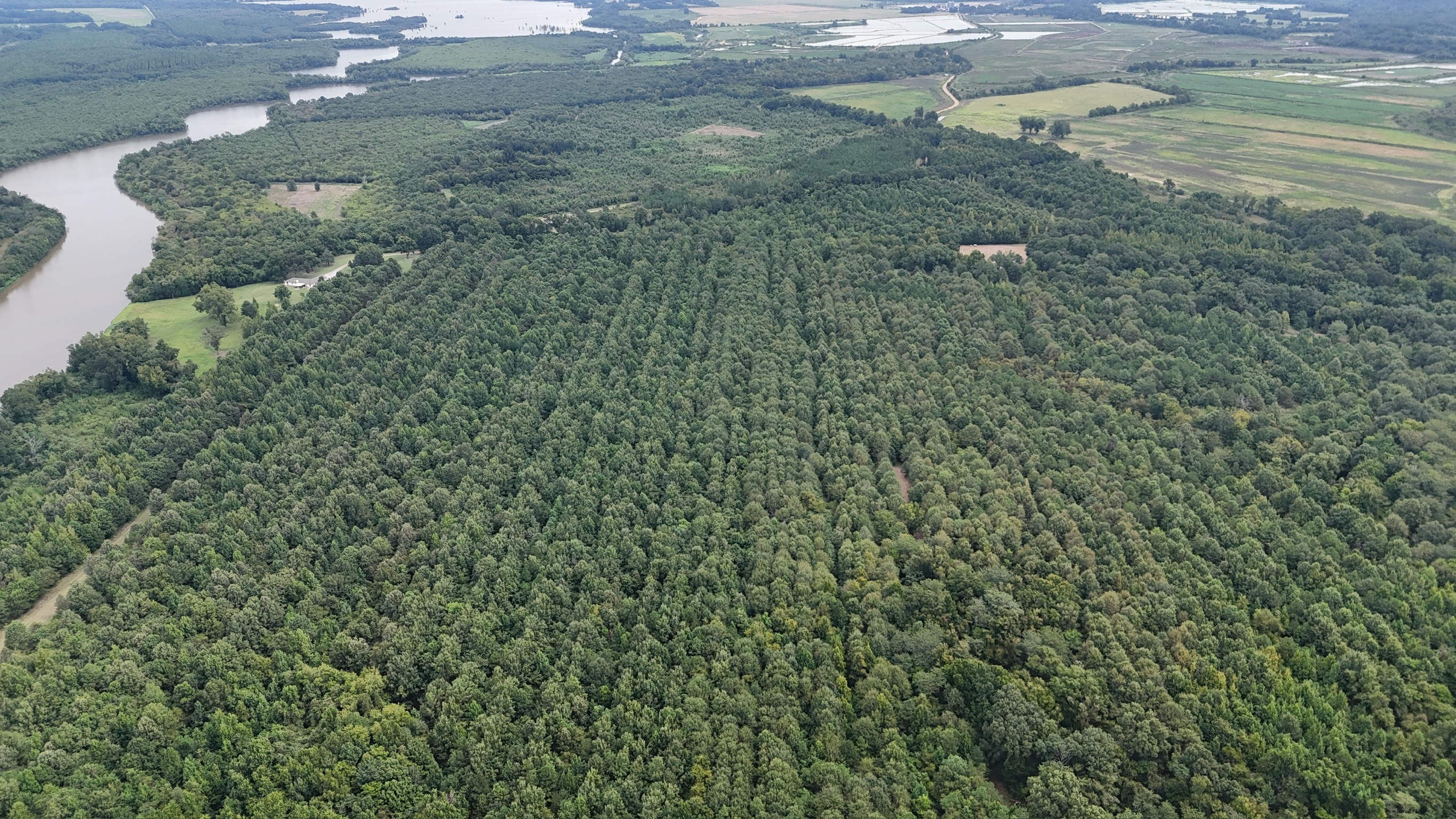 Duck and Deer Hunting Land for Sale Wisner  LA