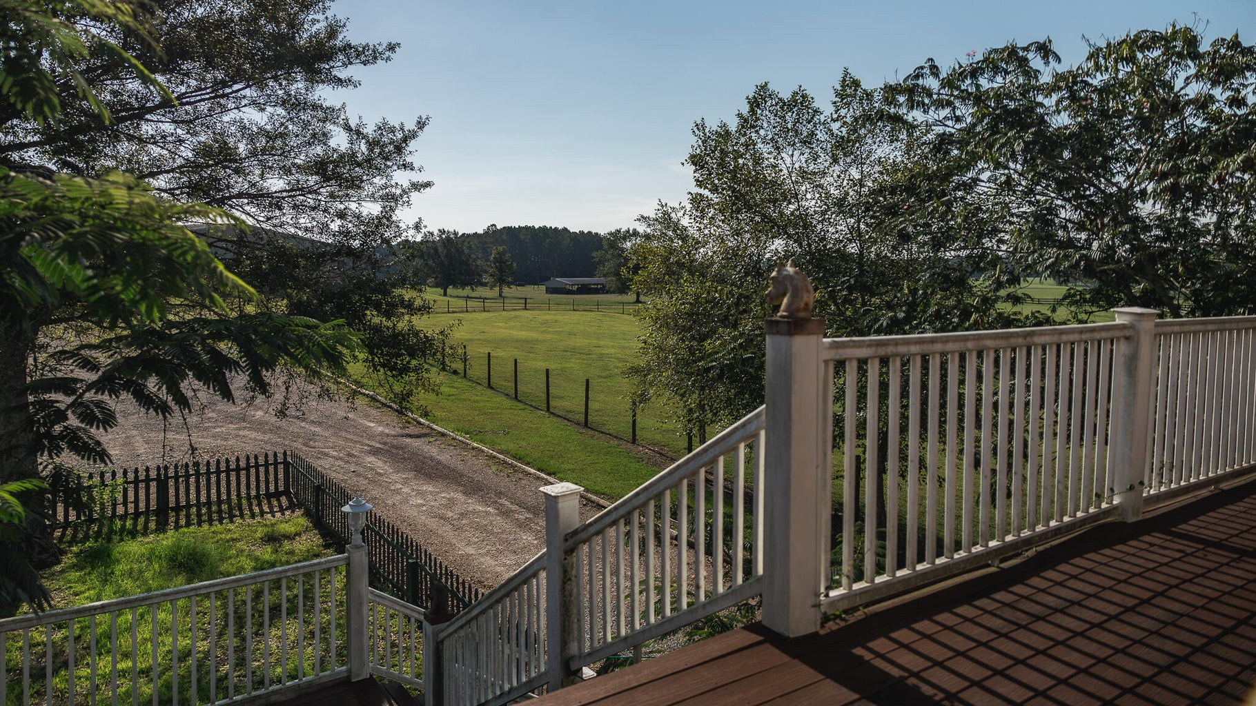 Golden Pines Ranch 235 Recreational Acres in Stone County MS