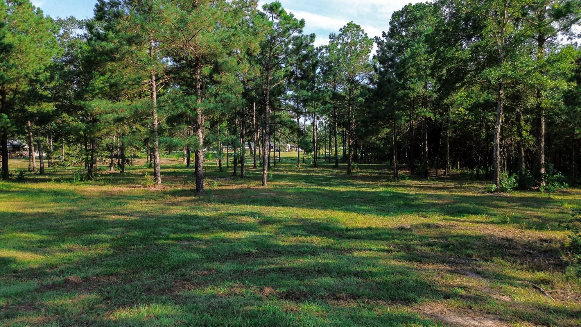 9.025 Acres Timber and Hunting Land for Sale NE Lincoln Parish