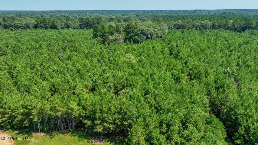 Magnolia MS 18.19 Acres with Mobile Home & Hunting Land