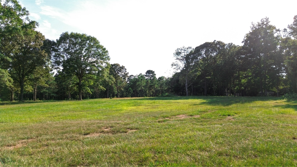 Northeast Lincoln Parish Land for Sale