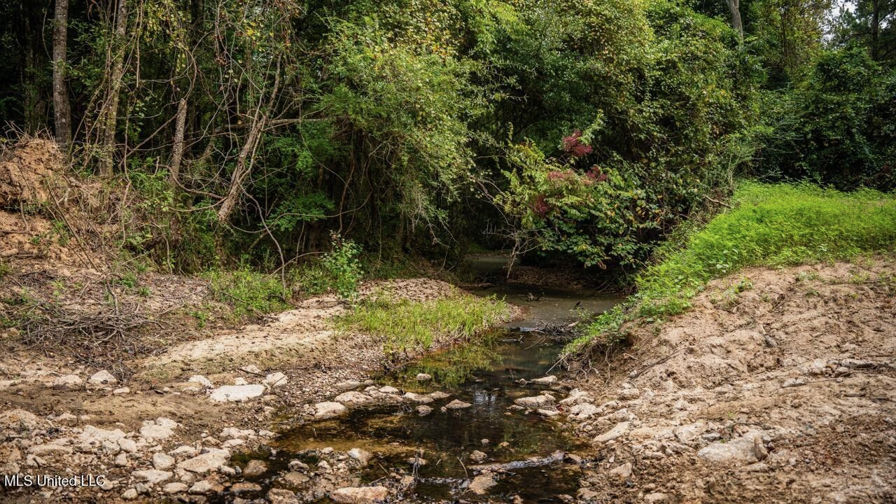 Ramsey Creek 67 Acres for Sale in Centreville, MS