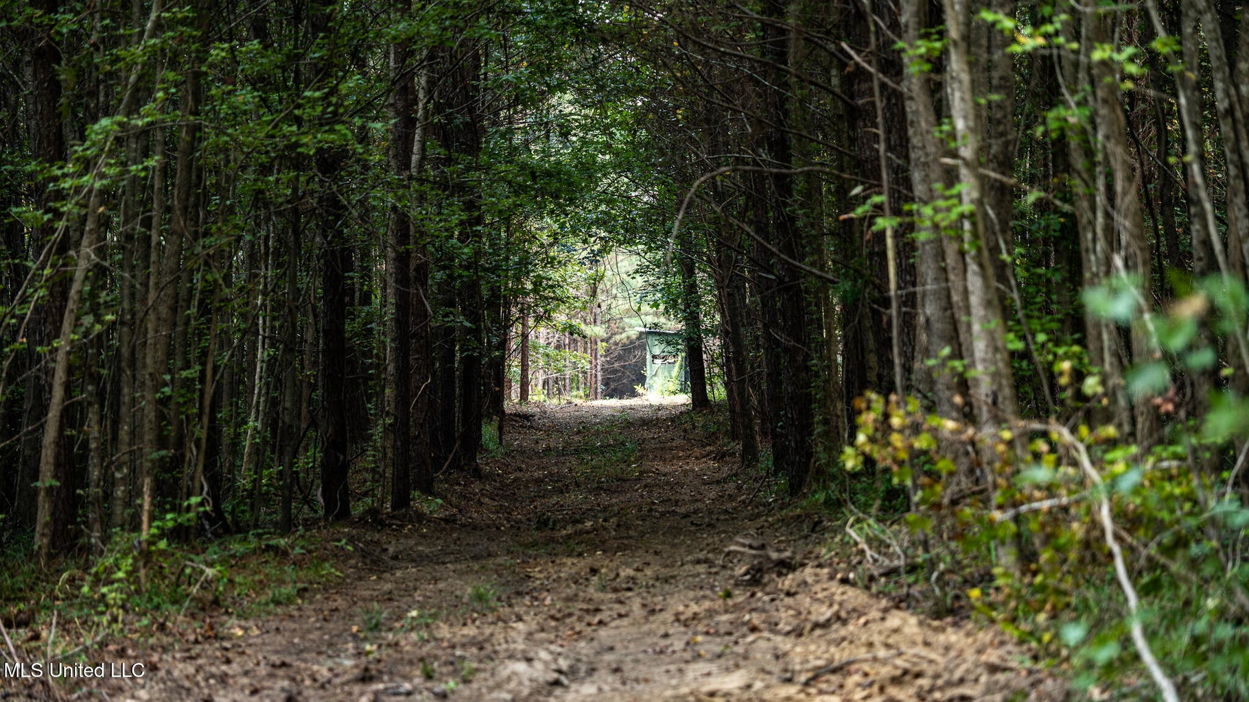 302 Acres in Hermanville, Claiborne County, MS Land
