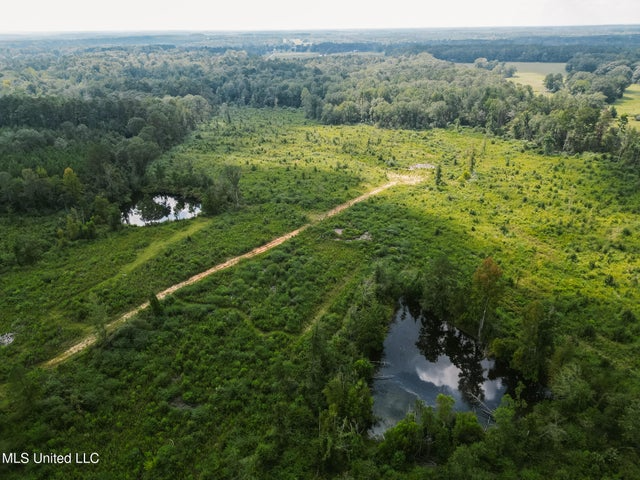 Land for Sale in Lincoln County, MS