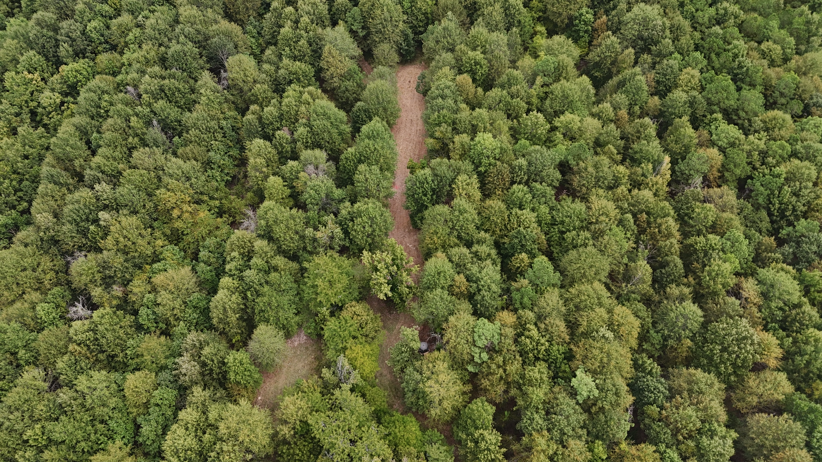 Duck and Deer Hunting Land for Sale Wisner  LA