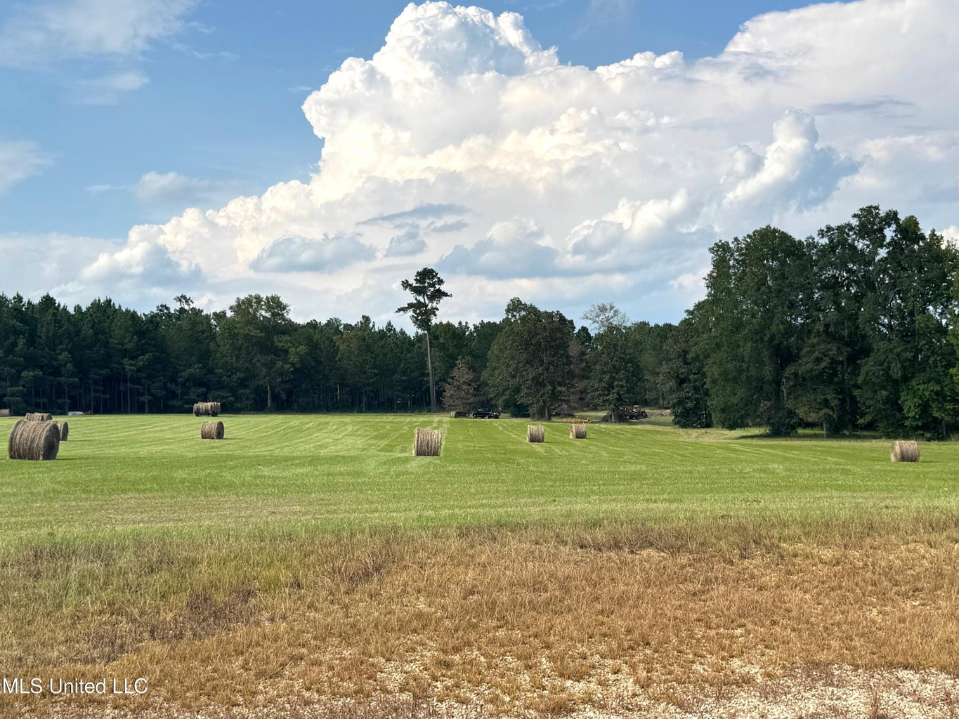 The Mississippi Retreat Near the LA/MS State Line