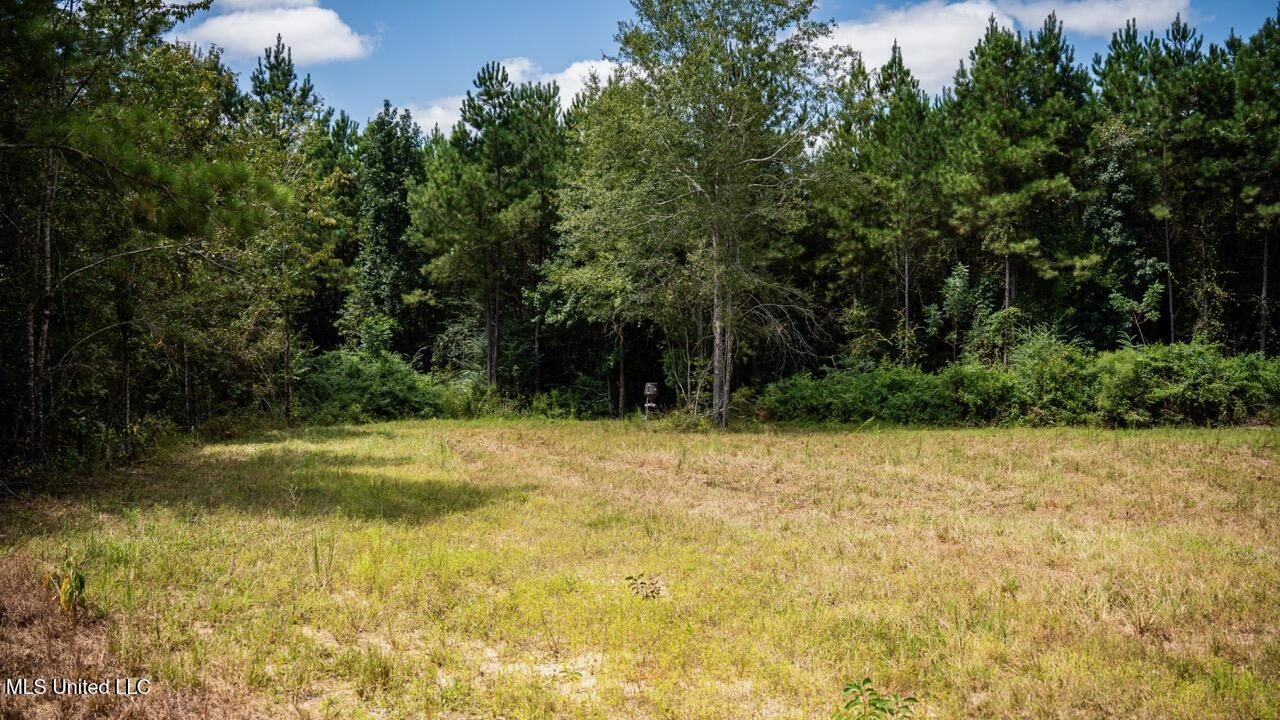 Hunting Land for Sale in Copiah County MS – Dixie Garden 46