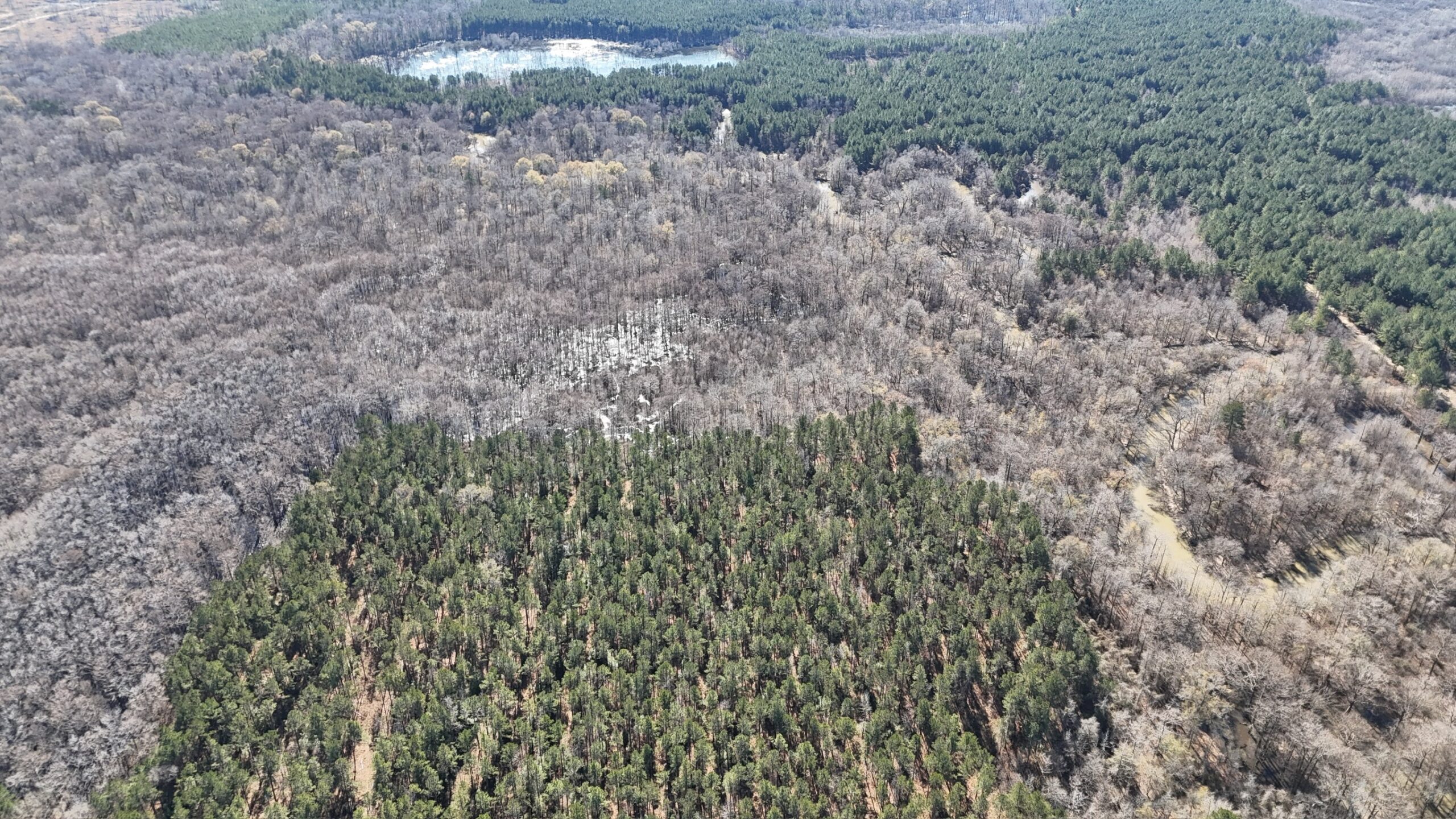 Duck, Deer, and Fishing Land for Sale on Little River