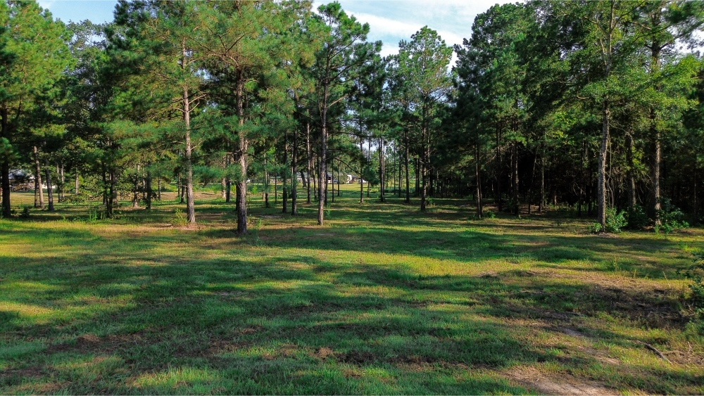 Northeast Lincoln Parish Land for Sale
