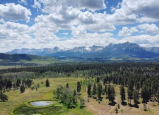 161 Acres San Juan Mountain Land for Sale in Placerville, CO