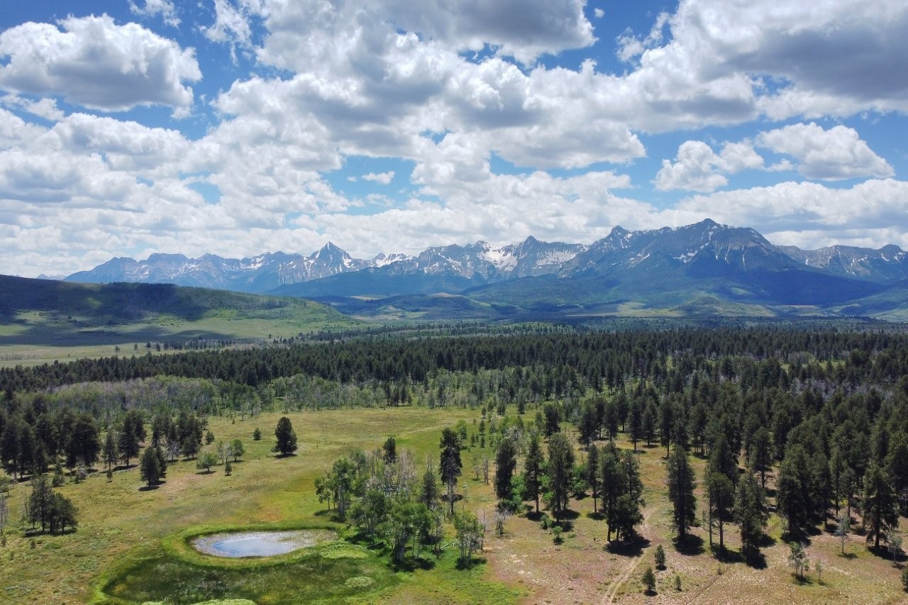 161 Acres San Juan Mountain Land for Sale in Placerville, CO