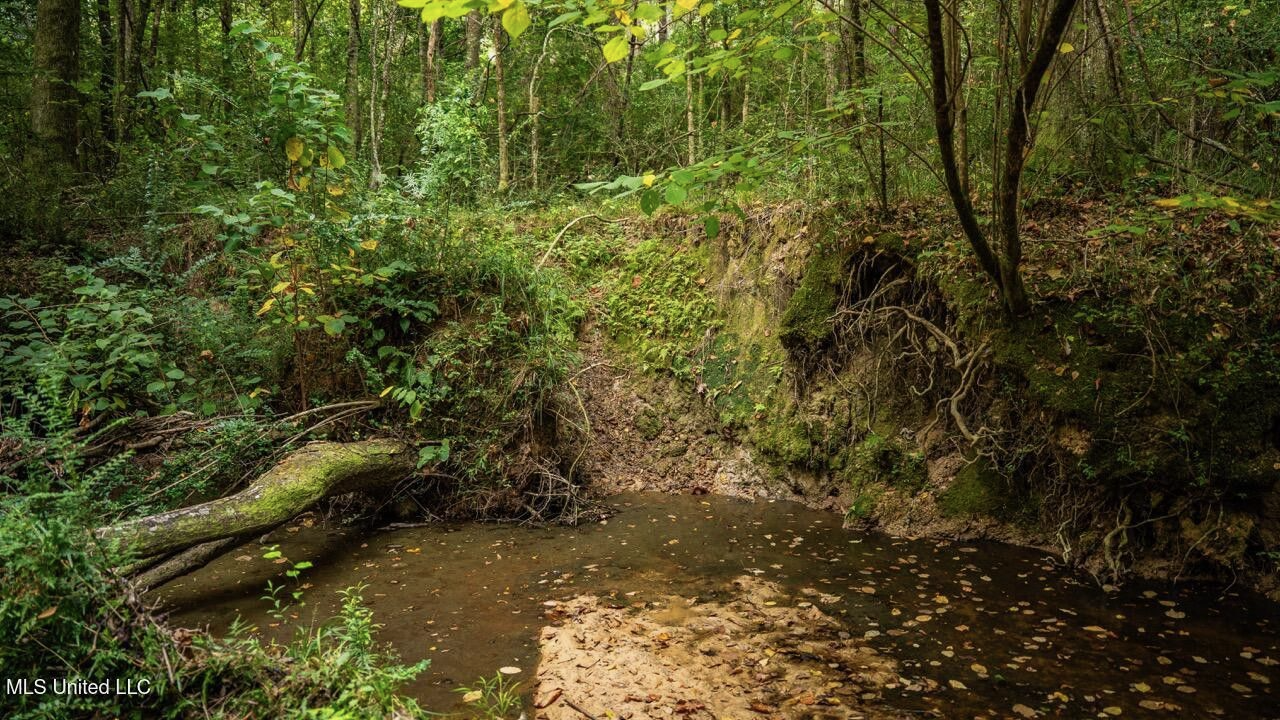 Ramsey Creek 67 Acres for Sale in Centreville, MS