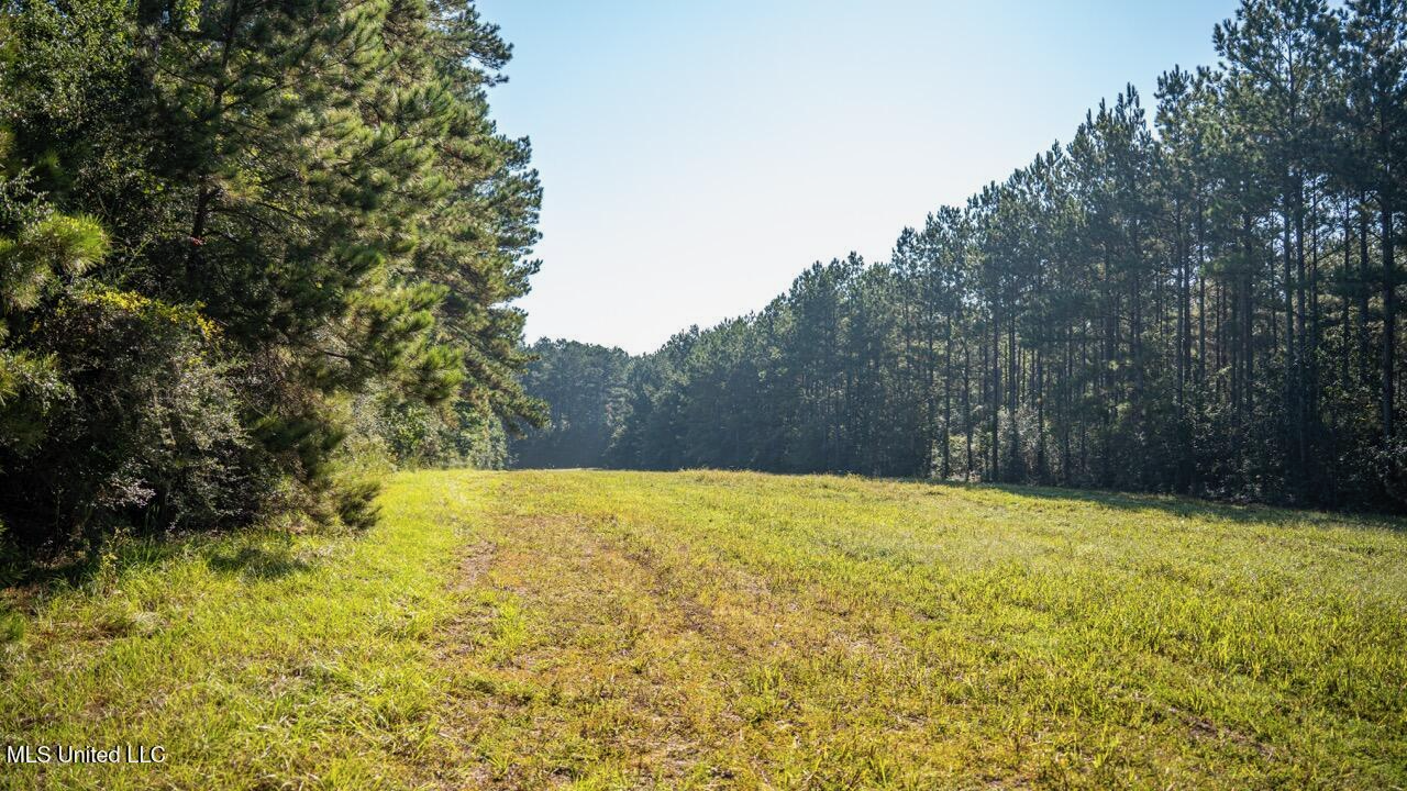 113 Acres Hunting Land with Home in Amite County, MS