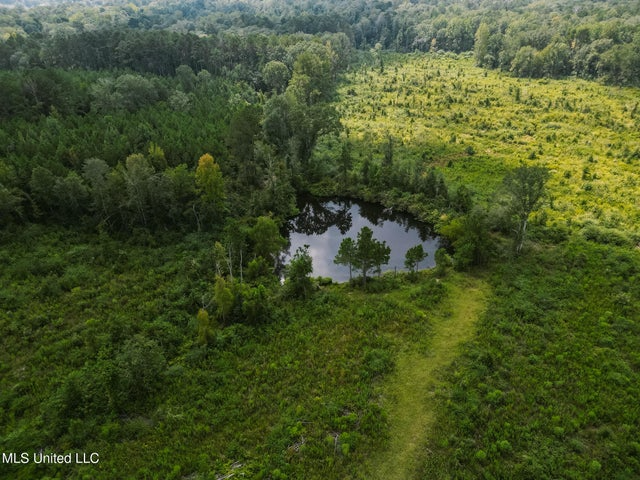 Land for Sale in Lincoln County, MS