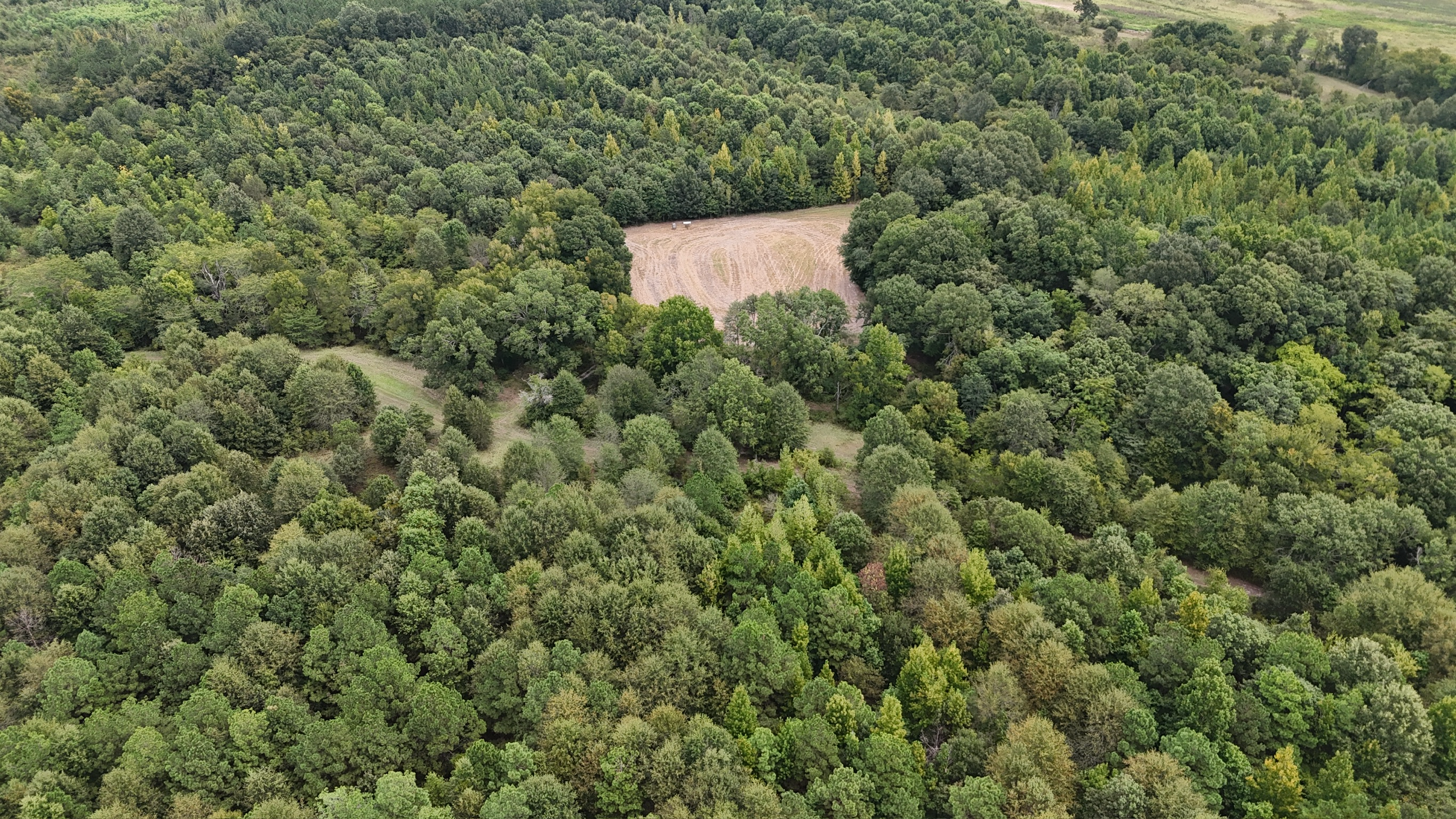 Duck and Deer Hunting Land for Sale Wisner  LA