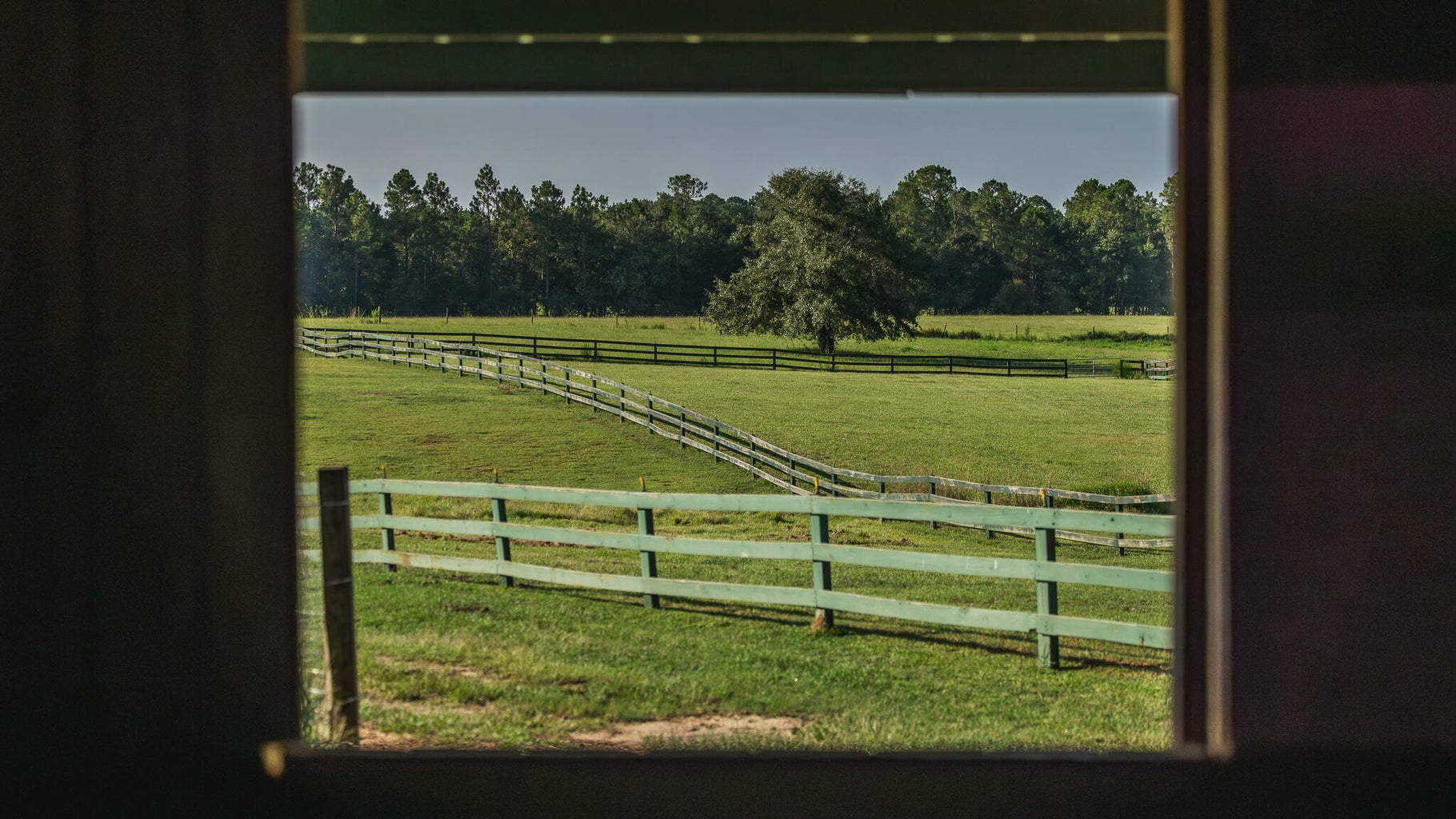Golden Pines Ranch 235 Recreational Acres in Stone County MS