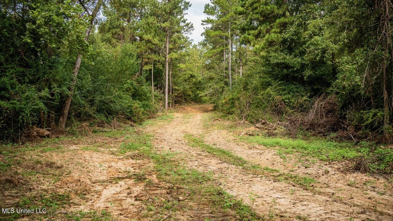 Ramsey Creek 67 Acres for Sale in Centreville, MS