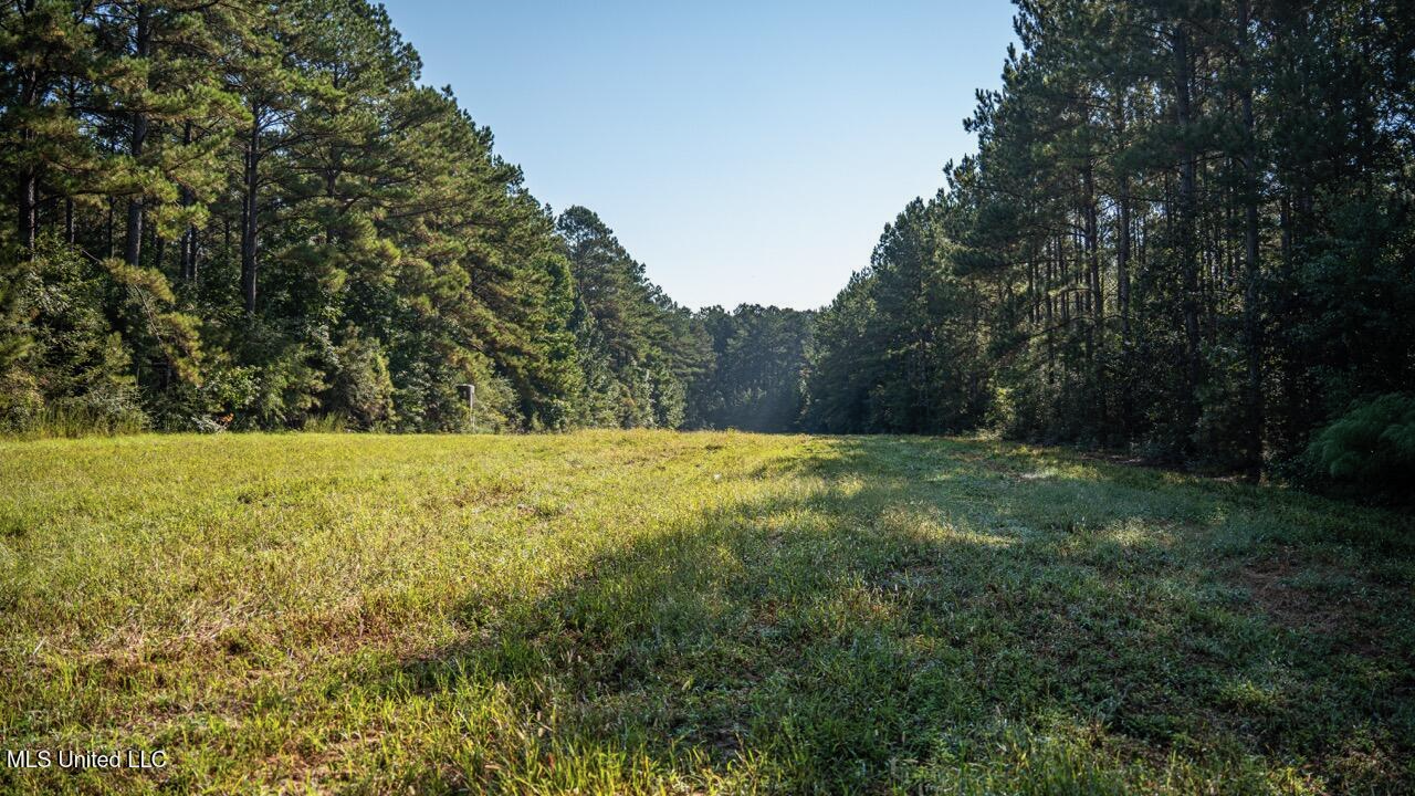 113 Acres Hunting Land with Home in Amite County, MS