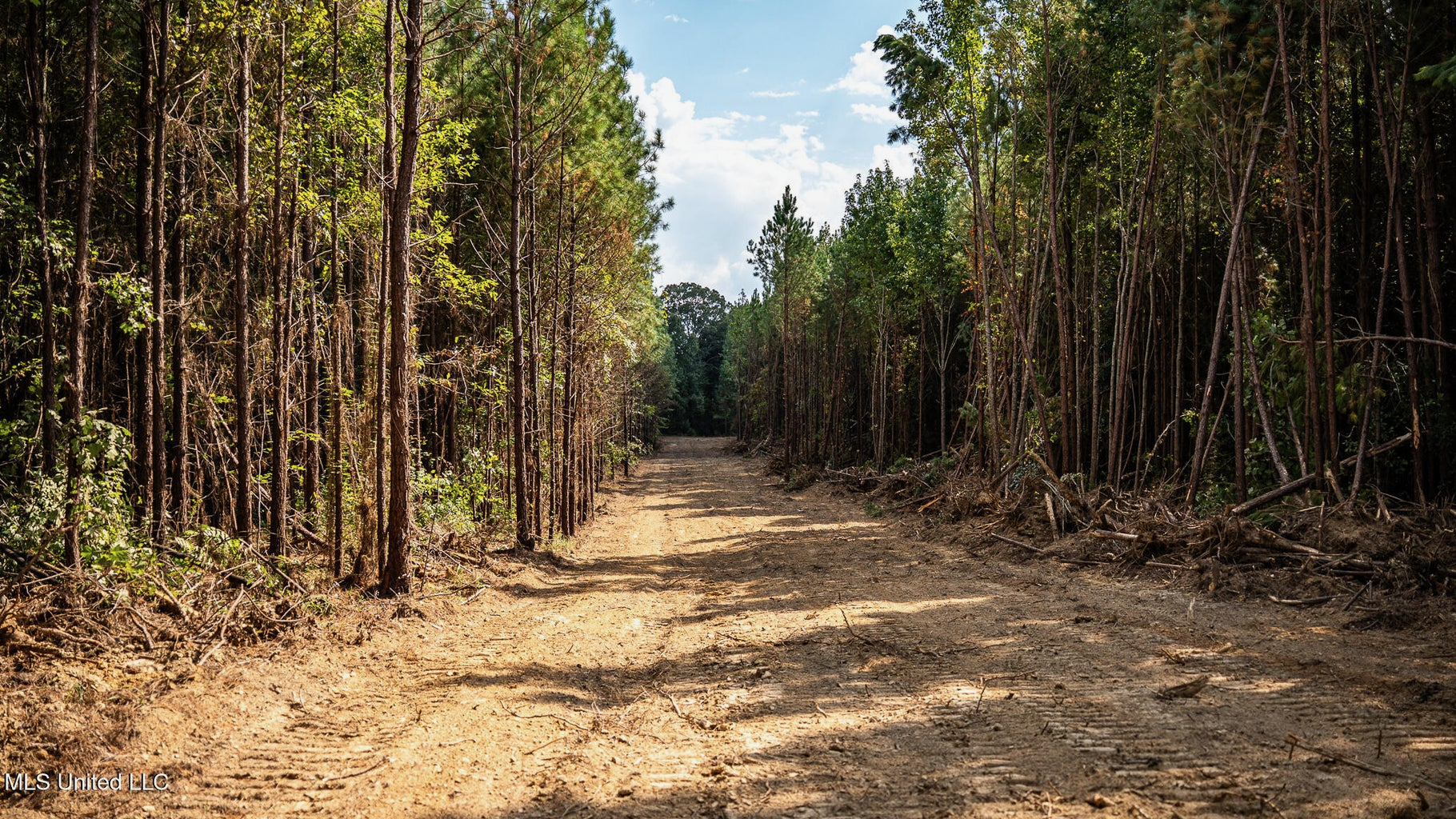 302 Acres in Hermanville, Claiborne County, MS Land