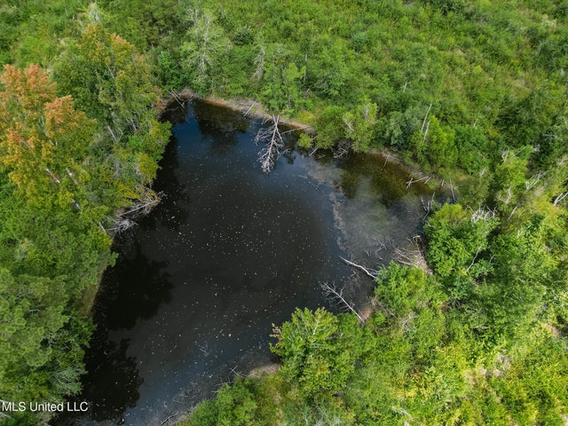 Land for Sale in Lincoln County, MS