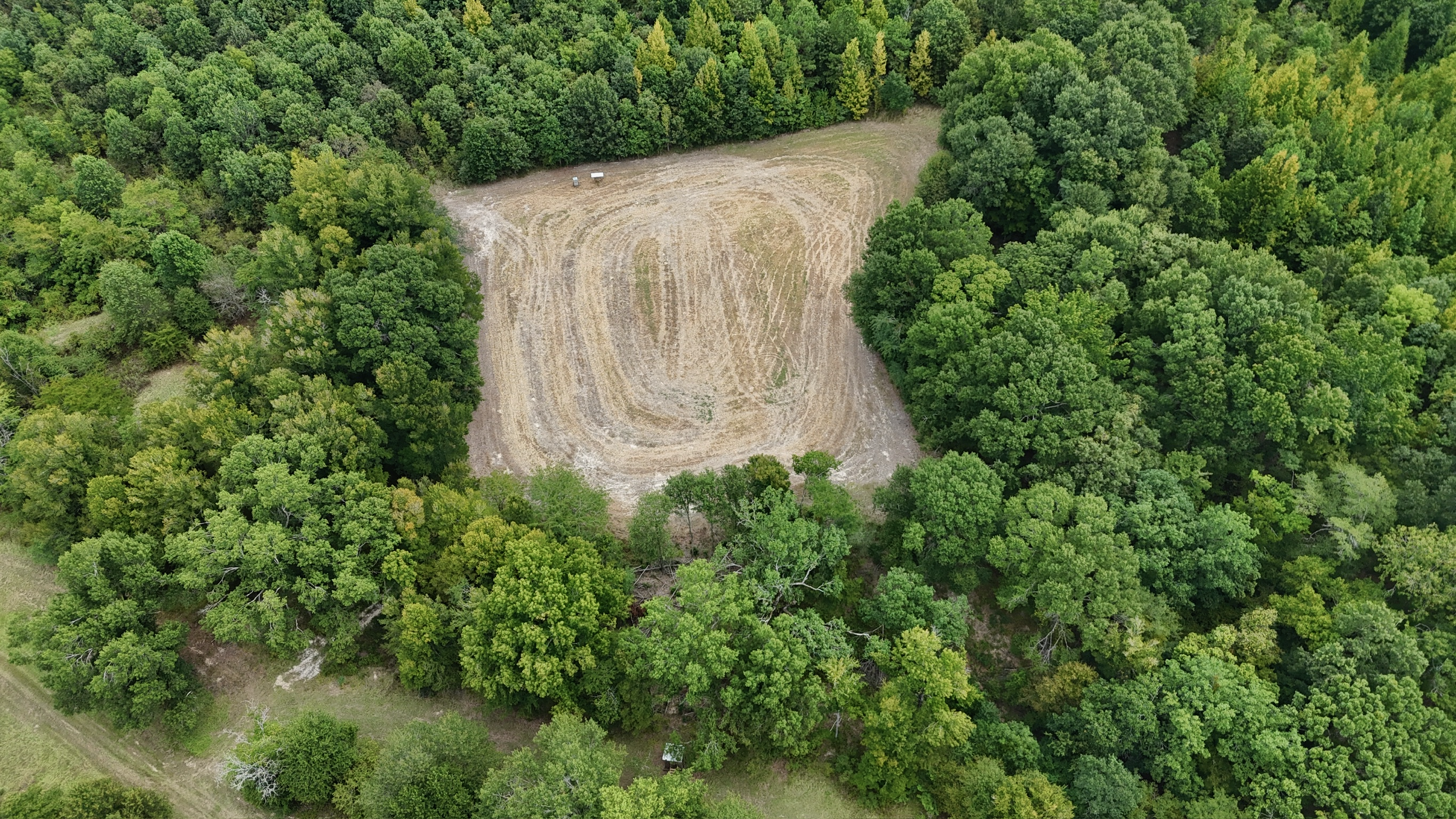 Duck and Deer Hunting Land for Sale Wisner  LA