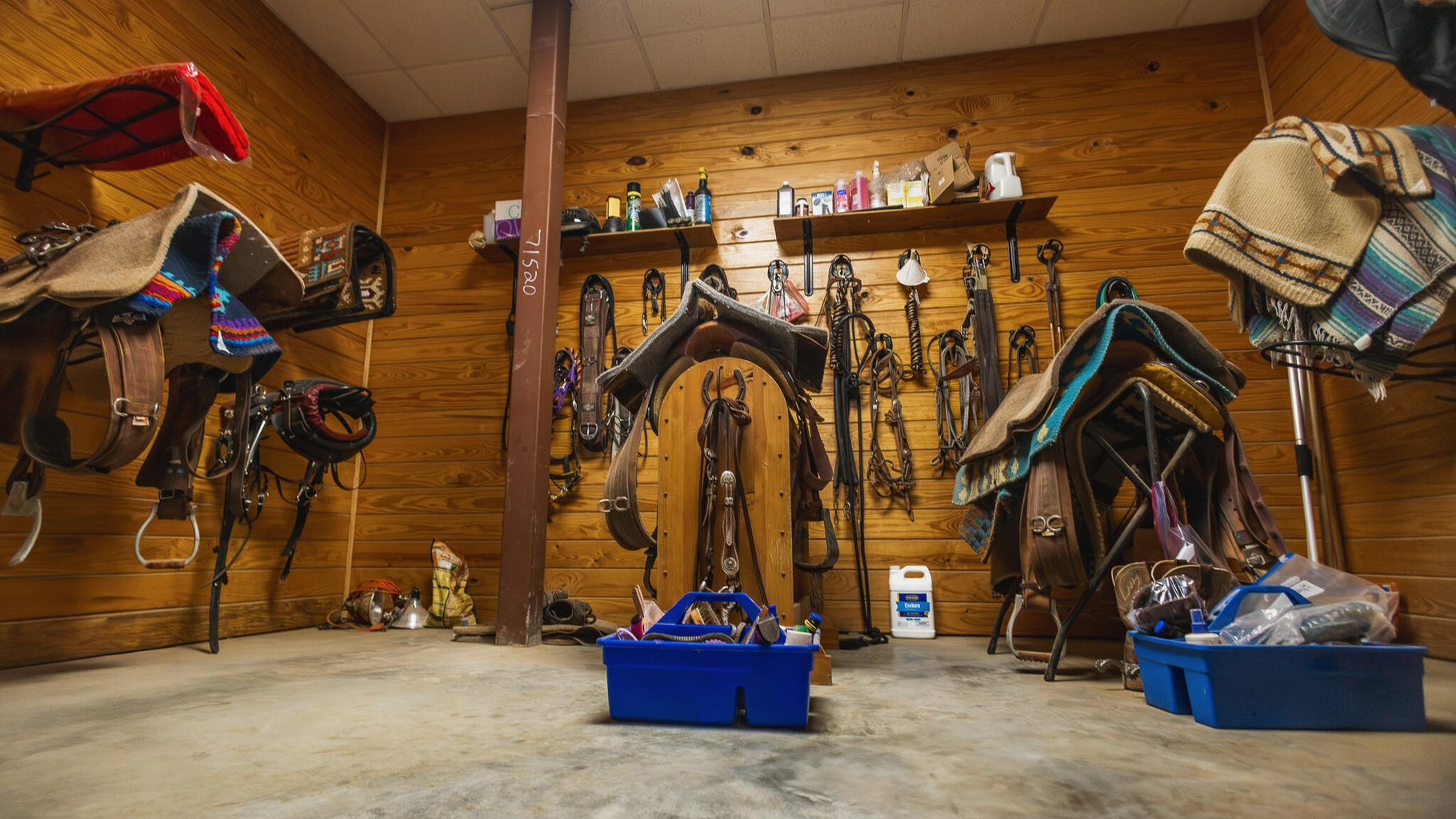 Golden Pines Ranch 235 Recreational Acres in Stone County MS