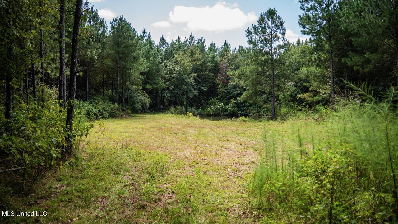 Hunting Land for Sale in Copiah County MS – Dixie Garden 46