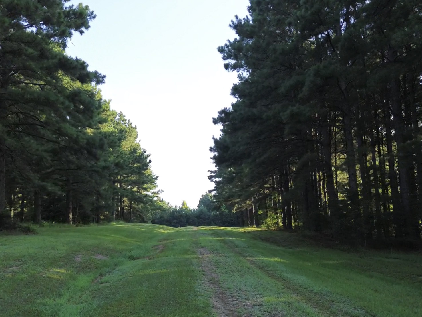 Multi-Purpose Country Estate – NE Lincoln Parish