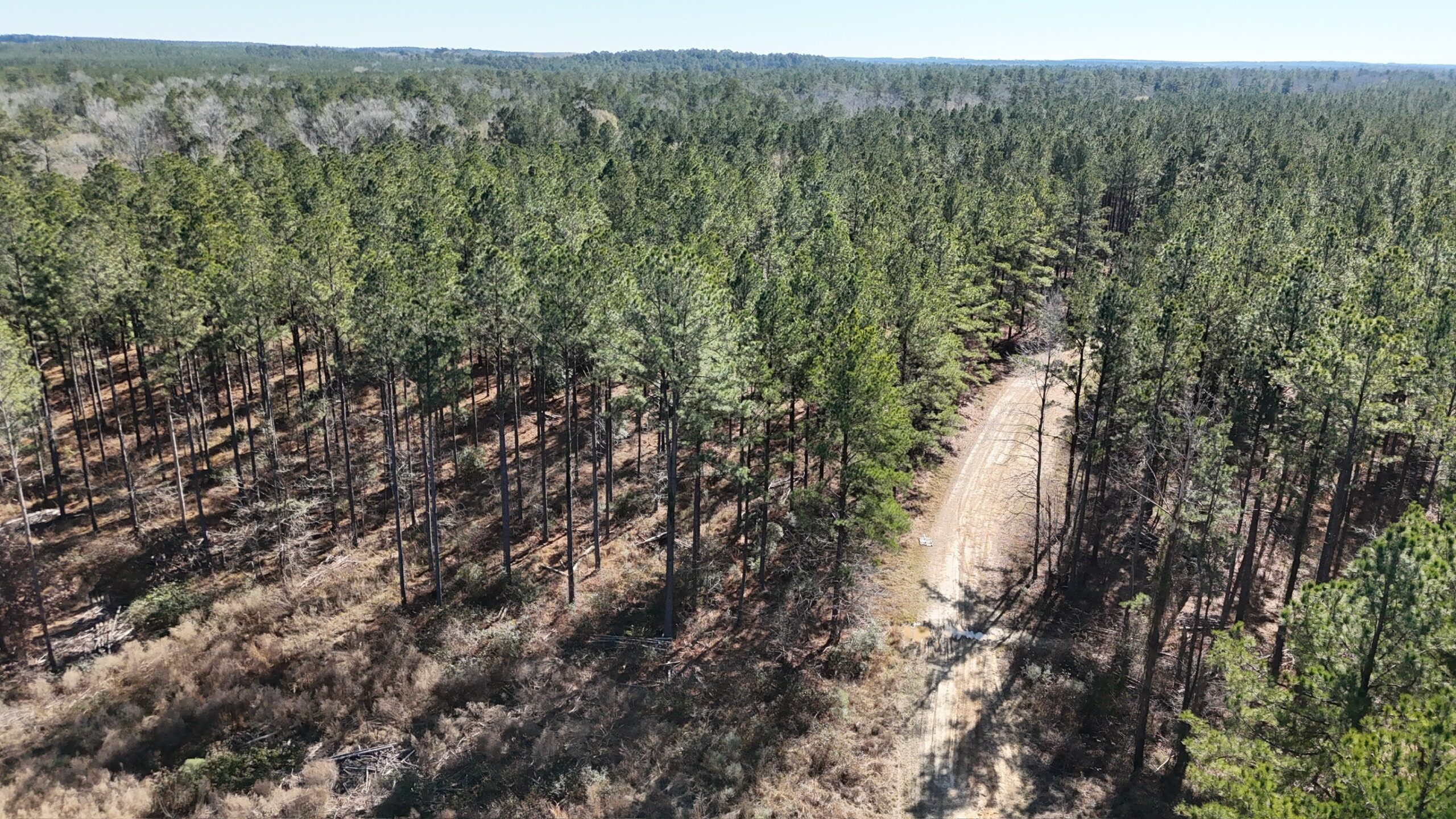 Duck, Deer, and Fishing Land for Sale on Little River