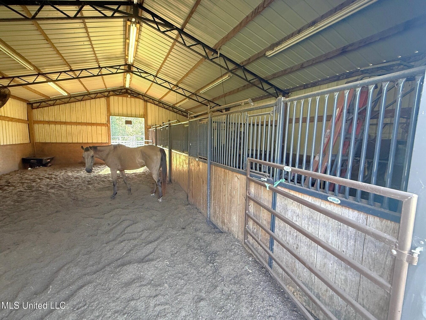 Pike Co Home with 125 Acres in North Pike School District