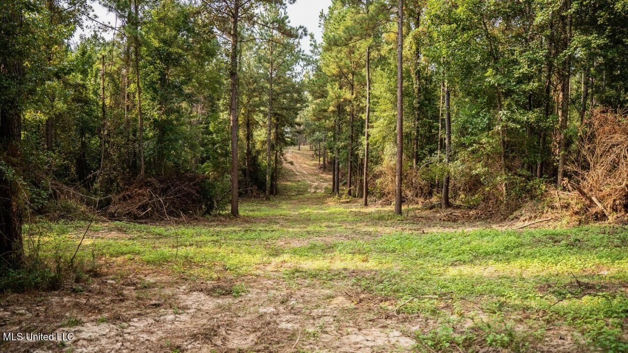 Ramsey Creek 67 Acres for Sale in Centreville, MS
