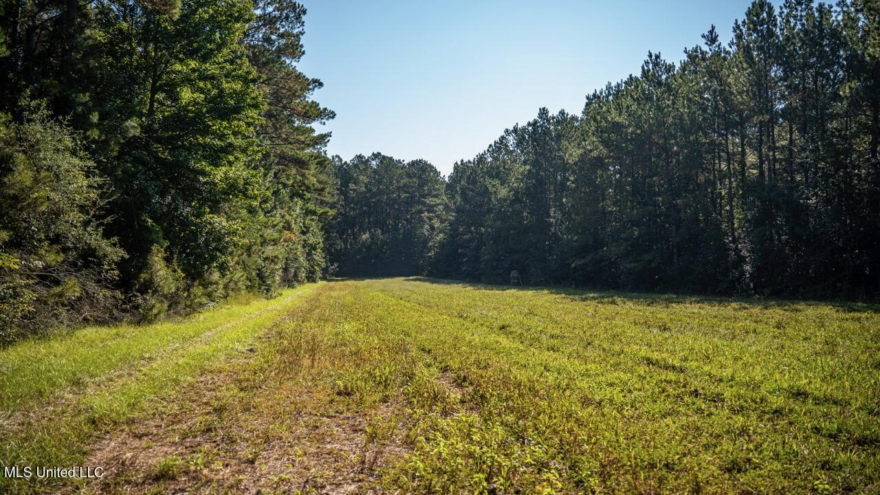 113 Acres Hunting Land with Home in Amite County, MS