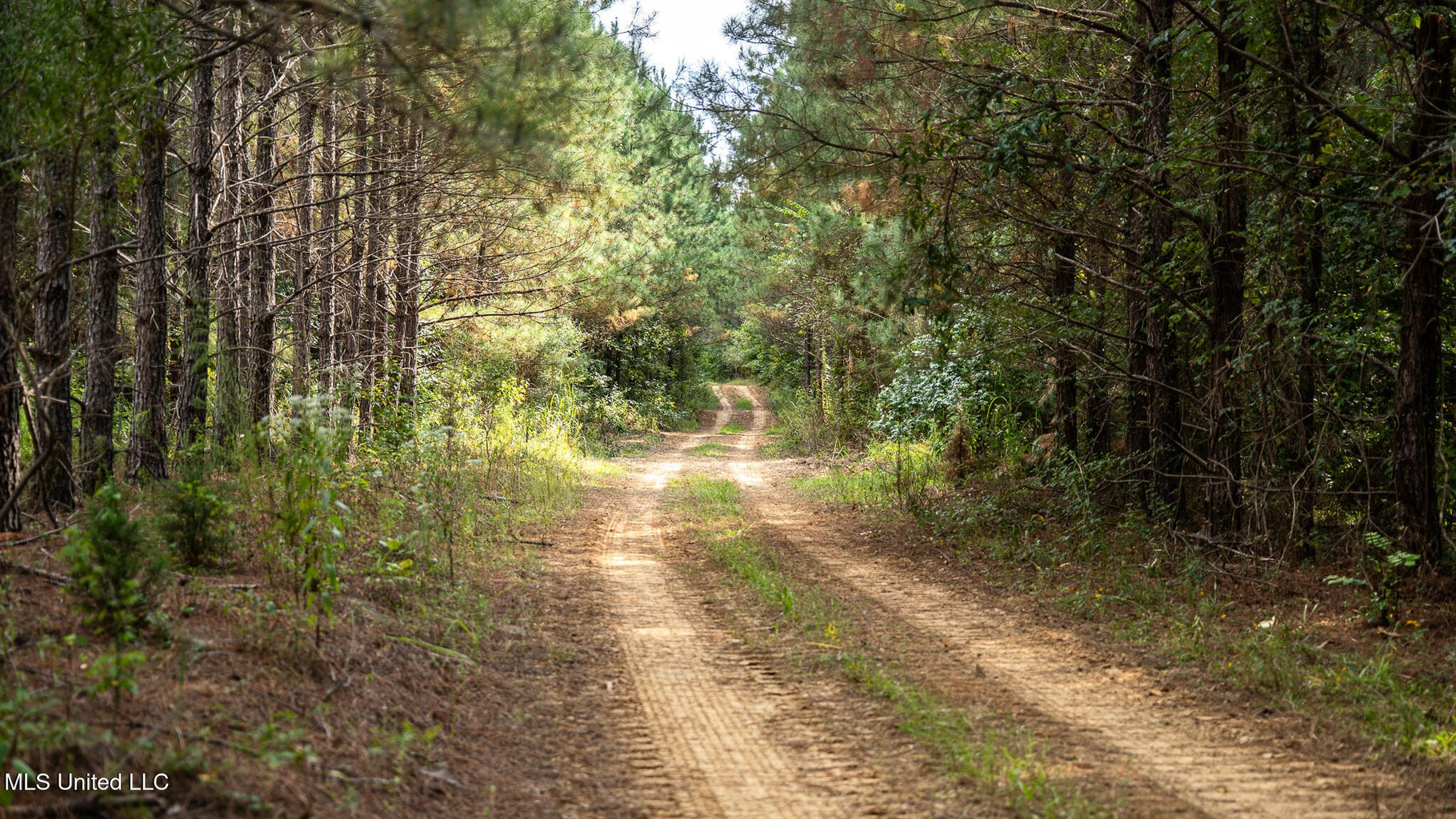 302 Acres in Hermanville, Claiborne County, MS Land