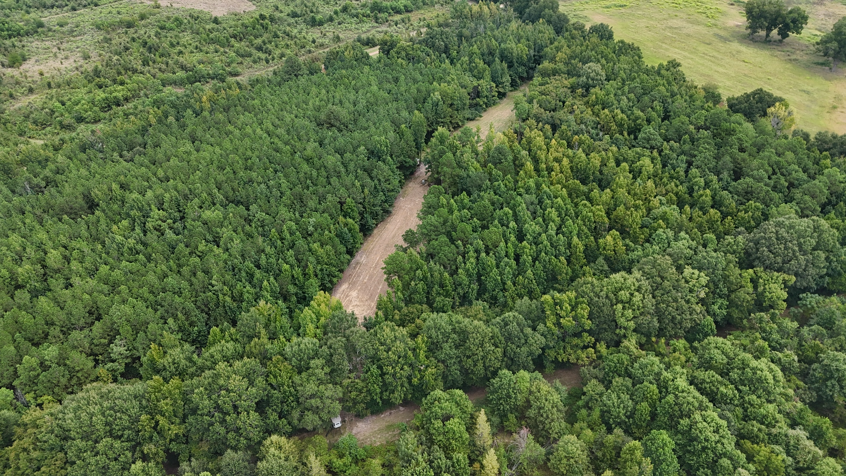 Duck and Deer Hunting Land for Sale Wisner  LA