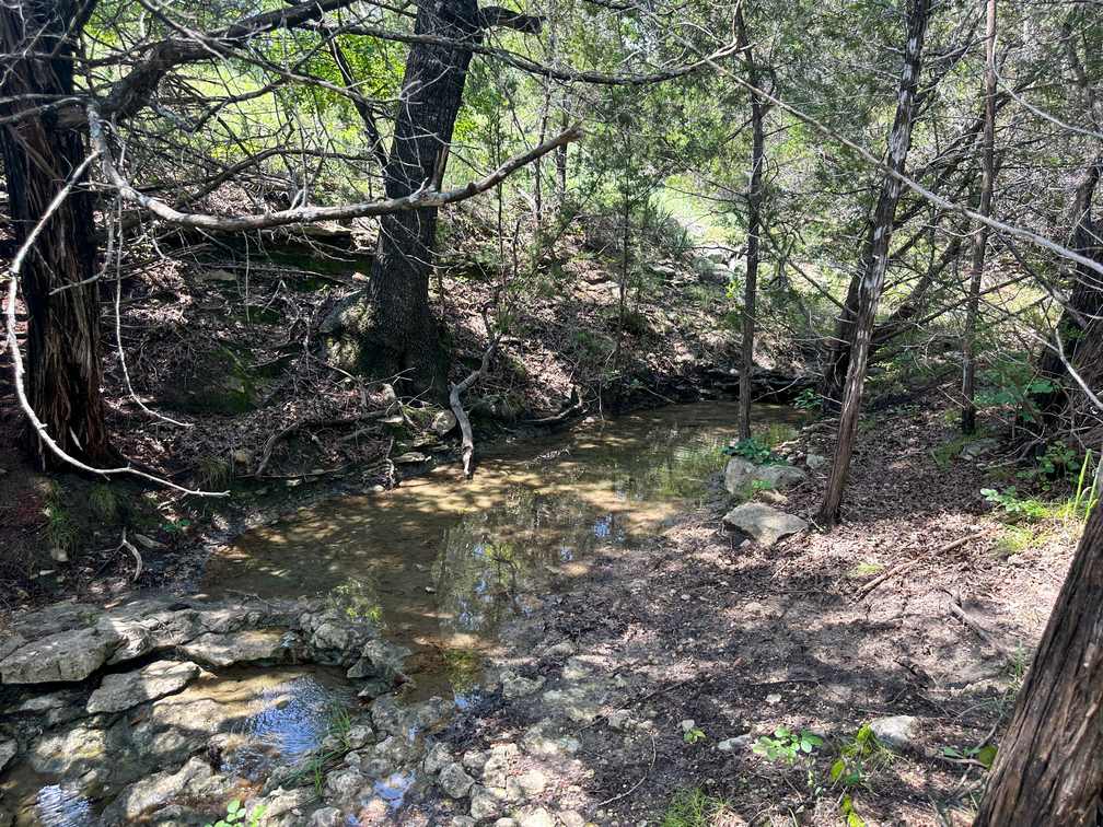 158± Acres | Leon River Frontage, Cabins, Hunting & Ranch