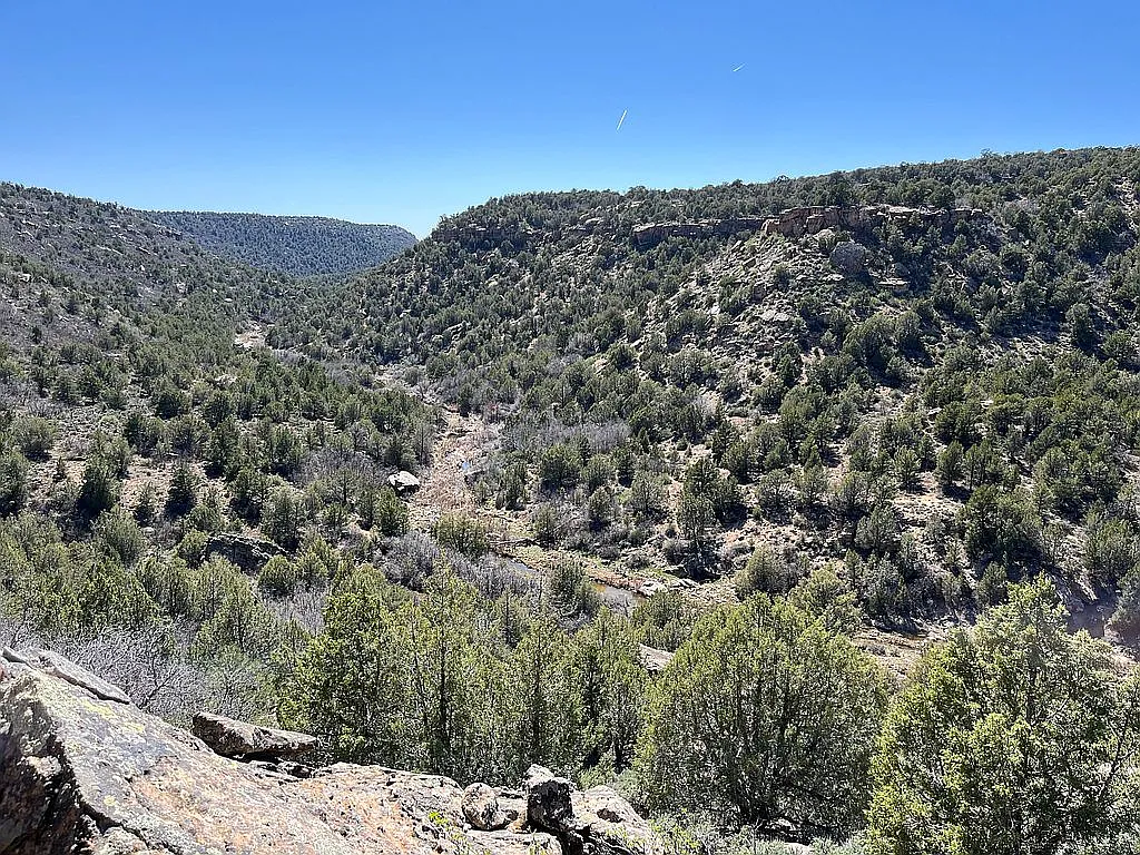 ATTENTION COLORADO AND UTAH HUNTERS!!!